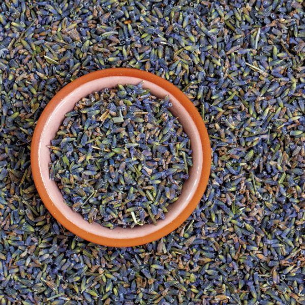 Lavanda Flores