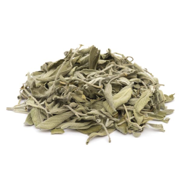 Salvia