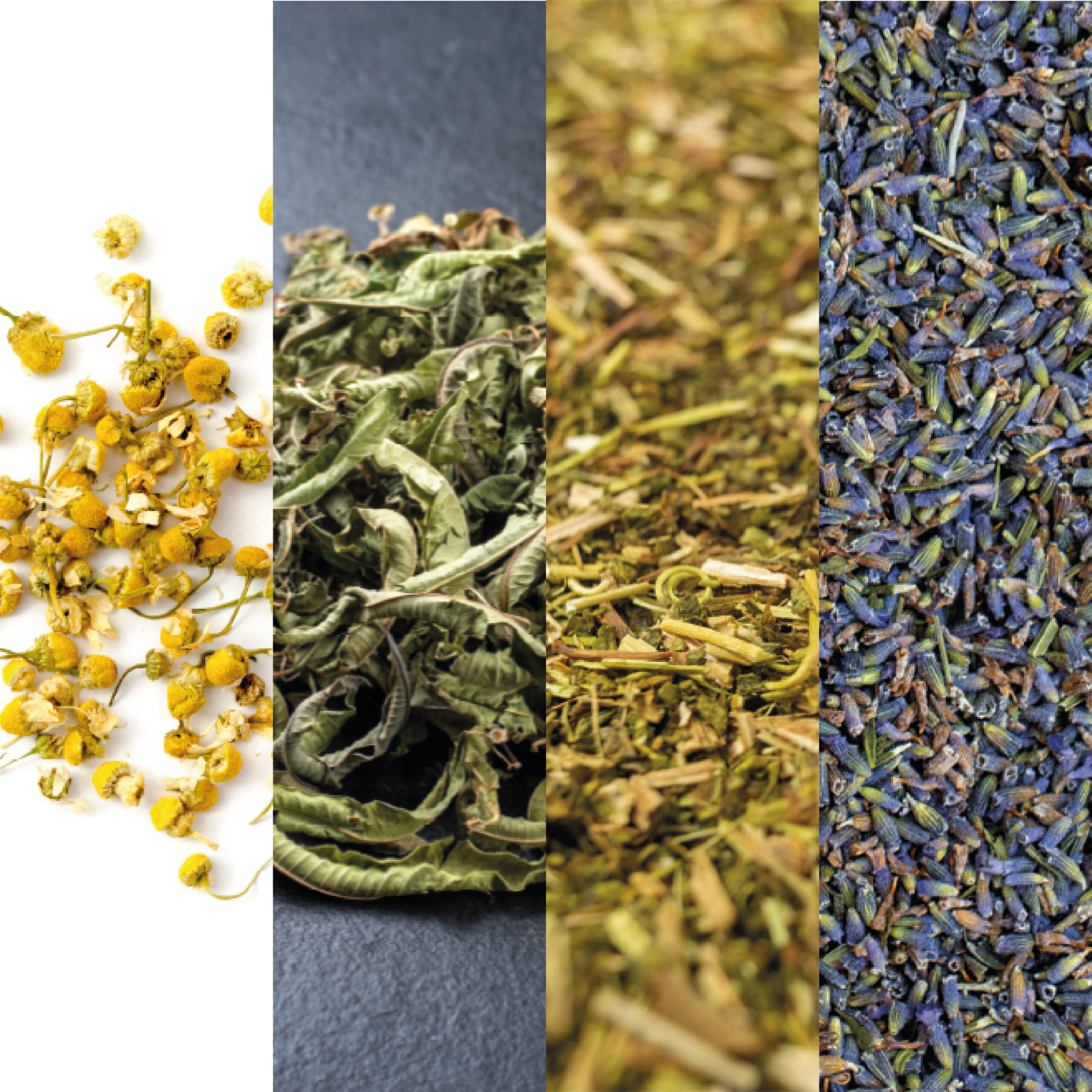 Product List Hover Image