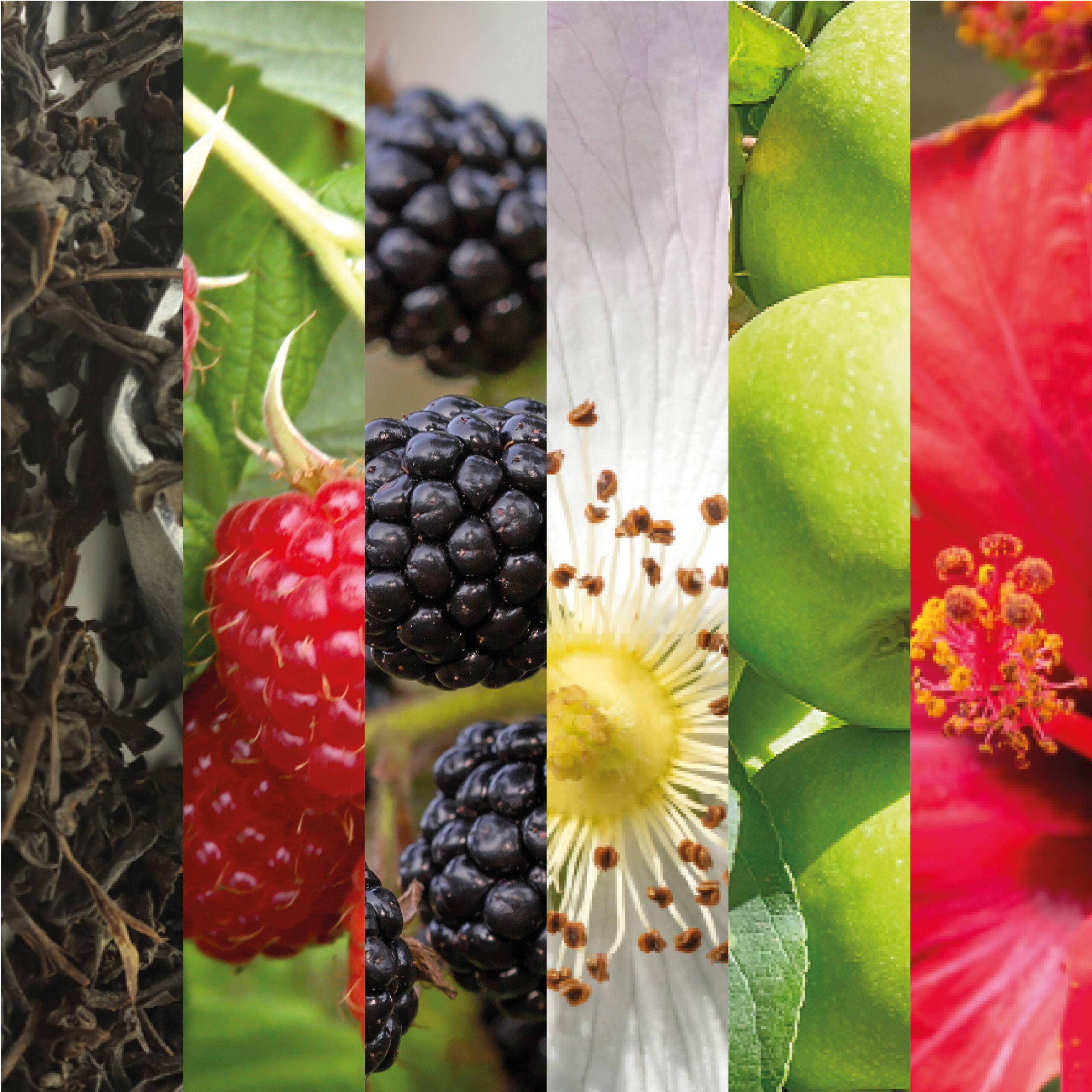 Product List Hover Image