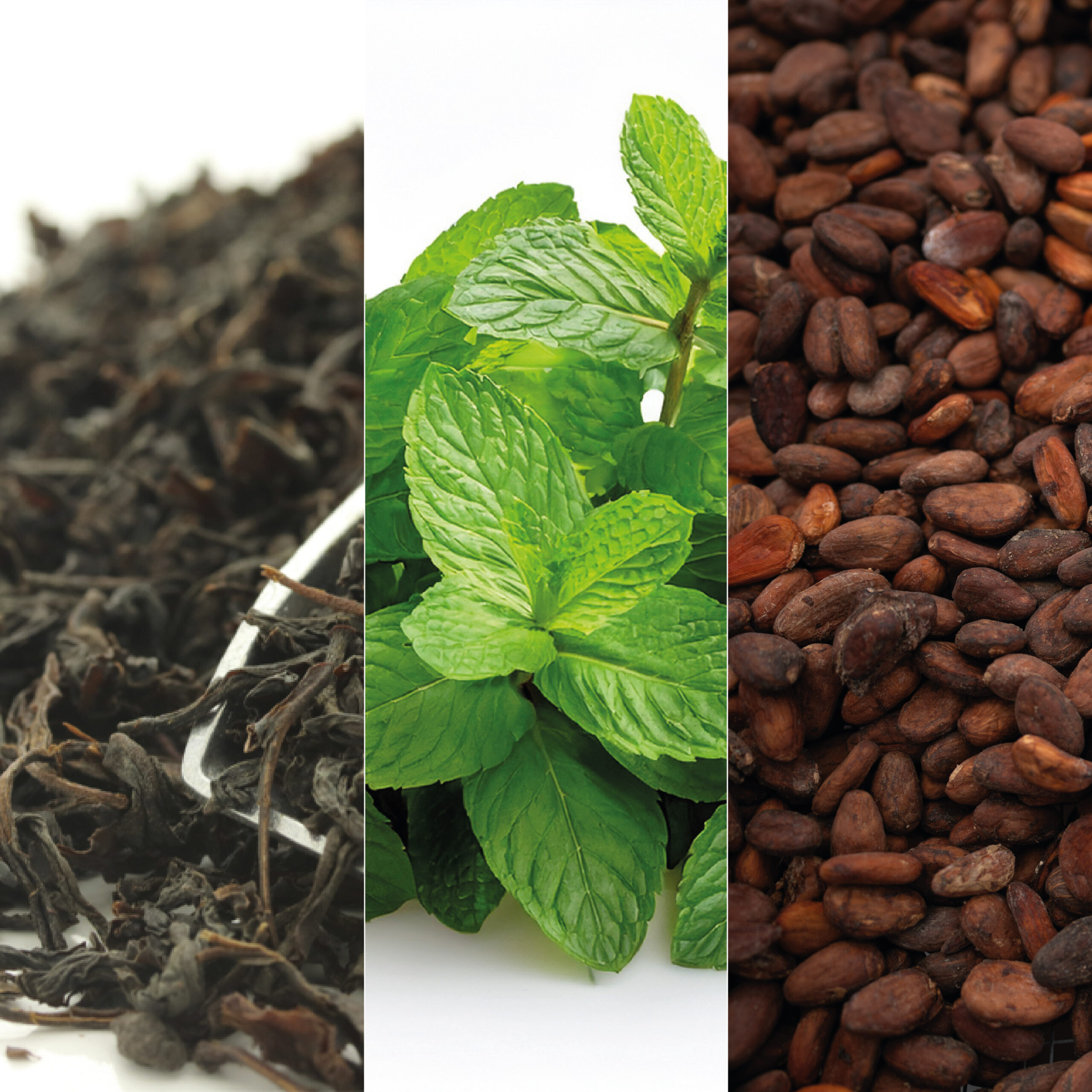 Product List Hover Image